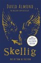 Skellig   