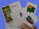 Karty kwestionariusz obrazkowy + karty wymowy 