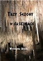 Trzy sezony w jaskiniach chicago polish bookstore