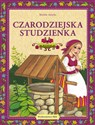 Czarodziejska studzienka  Polish Books Canada