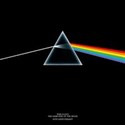 Pink Floyd: The Dark Side Of The Moon  -  bookstore