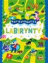 Mózgołamacze Labirynty - Opracowanie Zbiorowe