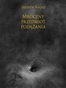 Mroczny przedmiot podążania - Polish Bookstore USA