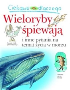 Ciekawe dlaczego Wieloryby śpiewają i inne pytania na temat życia w morzu buy polish books in Usa