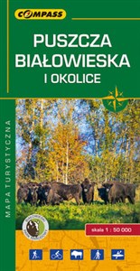 Puszcza Białowieska i okolice online polish bookstore
