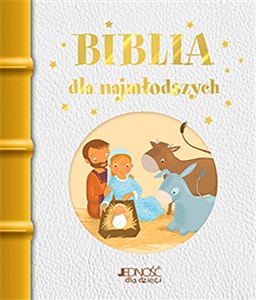 Biblia dla najmłodszych polish usa