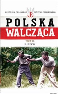 Polska Walcząca Tom 17 Kedyw   