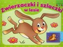 Zwierzaczki i szlaczki w lesie Malowanka z literkami. polish books in canada