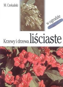 Krzewy i drzewa liściaste chicago polish bookstore