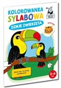 Kapitan Nauka Kolorowanka sylabowa Dzikie zwierzęta polish usa
