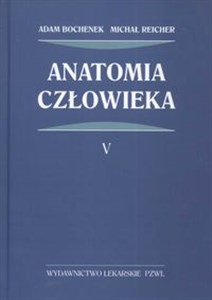 Anatomia człowieka Tom 5 in polish