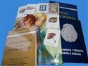 Zestaw diagnostyczno-terapeutyczny Neurologopedia books in polish