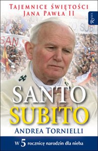 Santo Subito! chicago polish bookstore