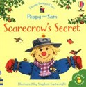 Scarecrows Secret books in polish