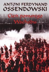 Cień ponurego Wschodu za kulisami życia rosyjskiego in polish