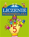 Liczenie przedszkolaka 