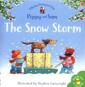The Snow Storm  