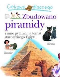 Ciekawe dlaczego Zbudowano piramidy i inne pytania na temat starożytnego Egiptu Polish bookstore