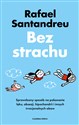 Bez strachu Sprawdzony sposób na pokonanie lęku, obsesji, hipochondrii i innych irracjonalnych obaw  