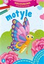 Motyle. Maluszkowe malowanie buy polish books in Usa