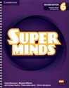 Super Minds 6 Teacher's Book with Digital Pack British English - ZoltĂˇn RĂ©zmĹ±ves, Melanie Williams, Herbert Puchta, Peter Lewis-Jones, GĂĽnter Gerngross