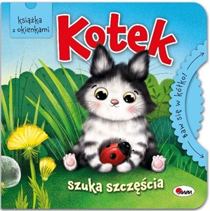 Baw się w kółko Kotek szuka szczęścia - Polish Bookstore USA