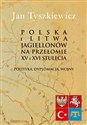 Polska i Litwa Jagiellonów na przełomie XV i XVI stulecia Polityka, dyplomacja, wojny books in polish