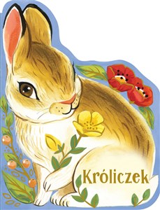 Kroliczek - Polish Bookstore USA