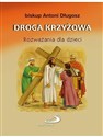 Droga krzyżowa. Rozważania dla dzieci pl online bookstore