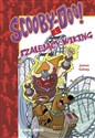 Scooby-Doo! i szalejący Wiking - Polish Bookstore USA