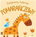 Dotykamy kolorów Pomarańczowy - 