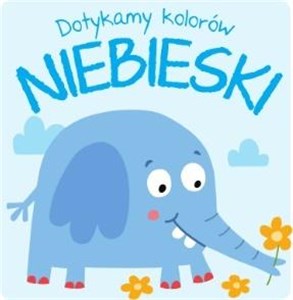 Dotykamy kolorów Niebieski polish usa