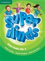 Super Minds 2 Class Audio 3 CD bookstore