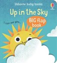 Up in the Sky - Polish Bookstore USA