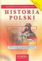 Historia Polski. Słownik encyklopedyczny books in polish