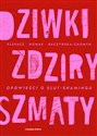 Dziwki, zdziry, szmaty Opowieści o slut-shamingu - Paulina Klepacz, Kamila Raczyńska-Chomyn, Aleksandra Nowak books in polish