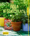 Zioła w doniczkach Polish bookstore