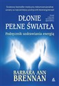 Dłonie pełne światła Podręcznik uzdrawiania energią Polish bookstore