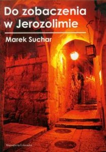 Do zobaczenia w Jerozolimie buy polish books in Usa