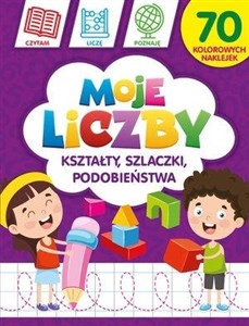 Moje liczby: Kształty, szlaczki, podobieństwa Polish Books Canada