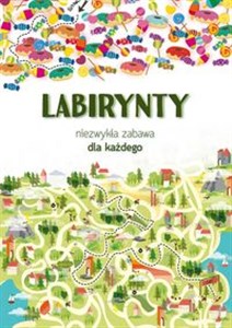 Labirynty Niezwykła zabawa dla każdego Polish Books Canada