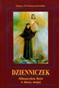 Dzienniczek Miłosierdzie Boże w duszy mojej - Faustyna Kowalska Polish bookstore