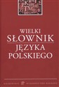Wielki słownik języka polskiego Canada Bookstore