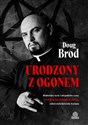 Urodzony z ogonem Diabelskie życie i niegodziwe czasy Antona Szandora LaVeya, założyciela Kościoła Szatana - Doug Brod