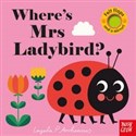 Where’s Mrs Ladybird? chicago polish bookstore