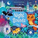 Night sounds - Sam Taplin chicago polish bookstore