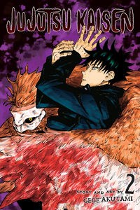 Jujutsu Kaisen, Vol. 2  Polish Books Canada