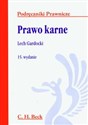 Prawo karne  