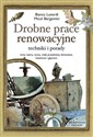 Drobne prace renowacyjne techniki, porady Ramy, lustra, ryciny, małe przedmioty drewniane, metalowe i gipsowe bookstore