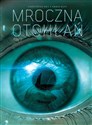 Mroczna Otchłań Tom 3 pl online bookstore